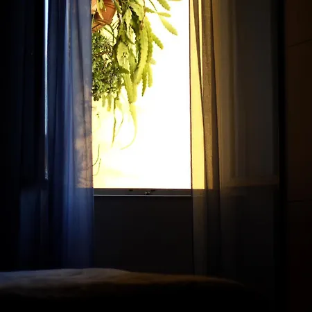 Apartment A Due Passi Dal Treno Pisa